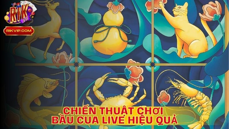 Chiến Thuật Chơi Bầu Cua Live Hiệu Quả