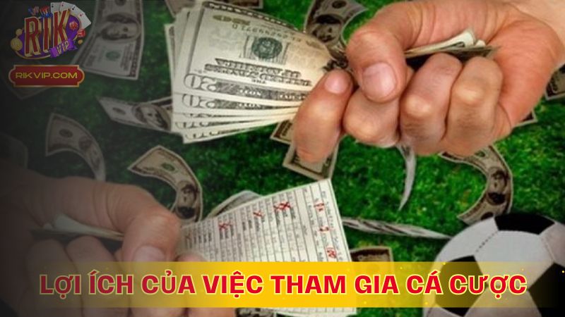 Lợi ích của việc tham gia cá cược