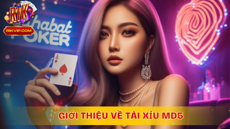 Giới thiệu về Tài Xỉu MD5